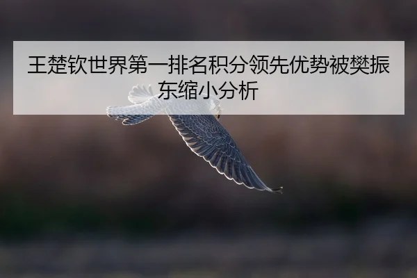 wang-chu-qin-shi-jie-di-yi-pai-ming-ji-fen-ling-xian-you-shi-bei-fan-zhen-dong-suo-xiao-fen-xi-3-915.jpg